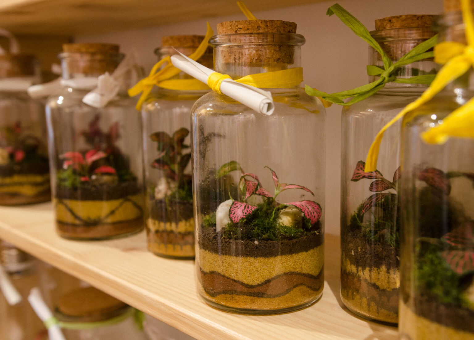Pflanzen im Glas. Glasbiotope! WestFach